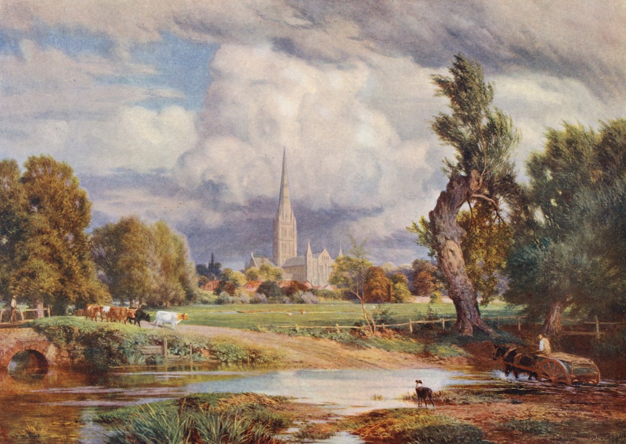 Cathédrale de Salisbury - Charles Edward Johnson