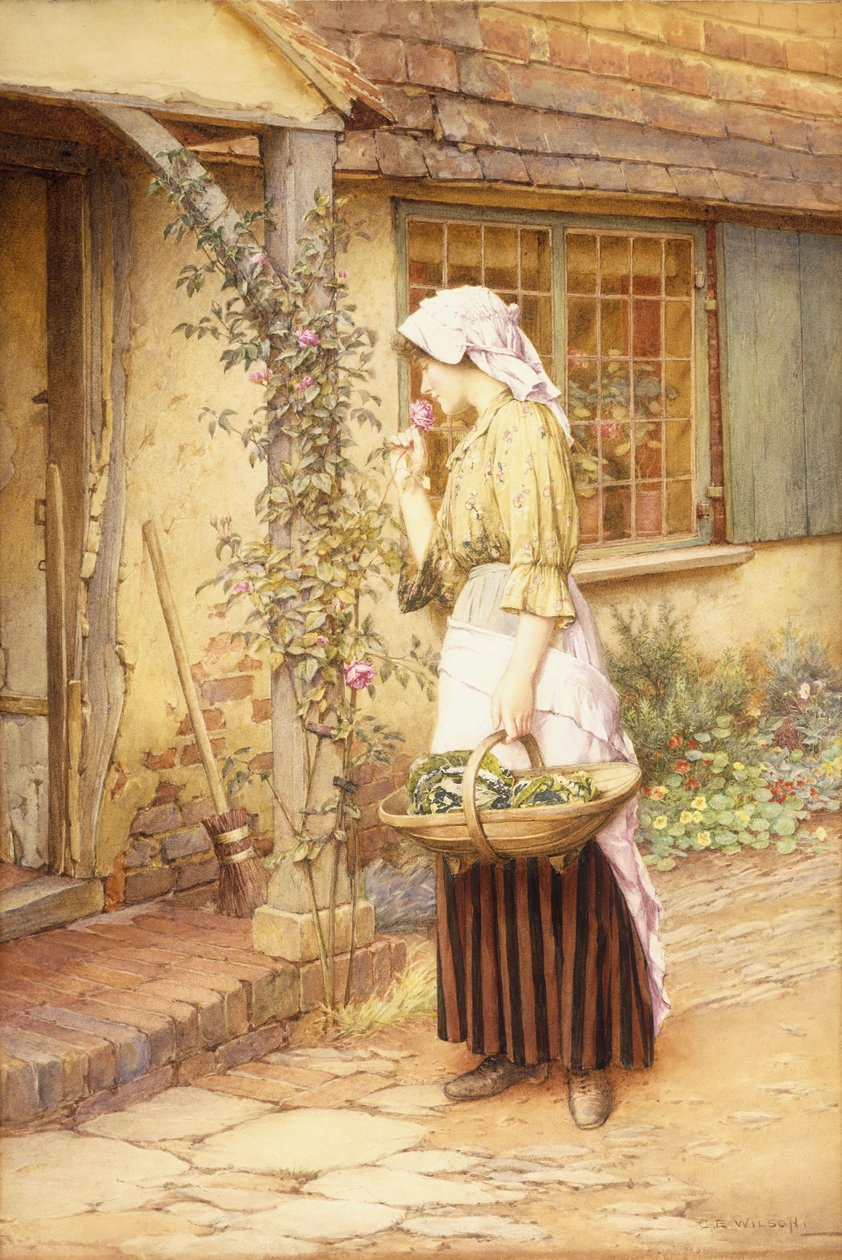 La plus douce des roses - Charles Edward Wilson