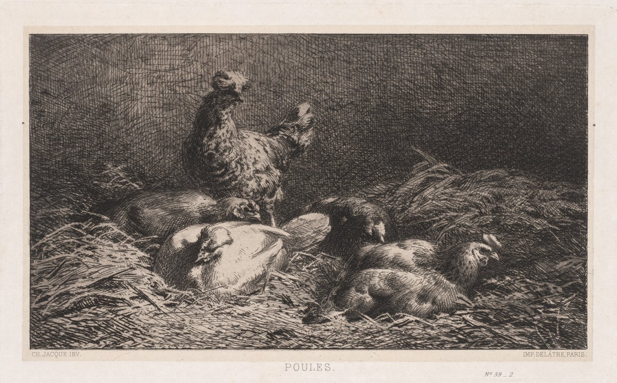 Poules - Charles Emile Jacque