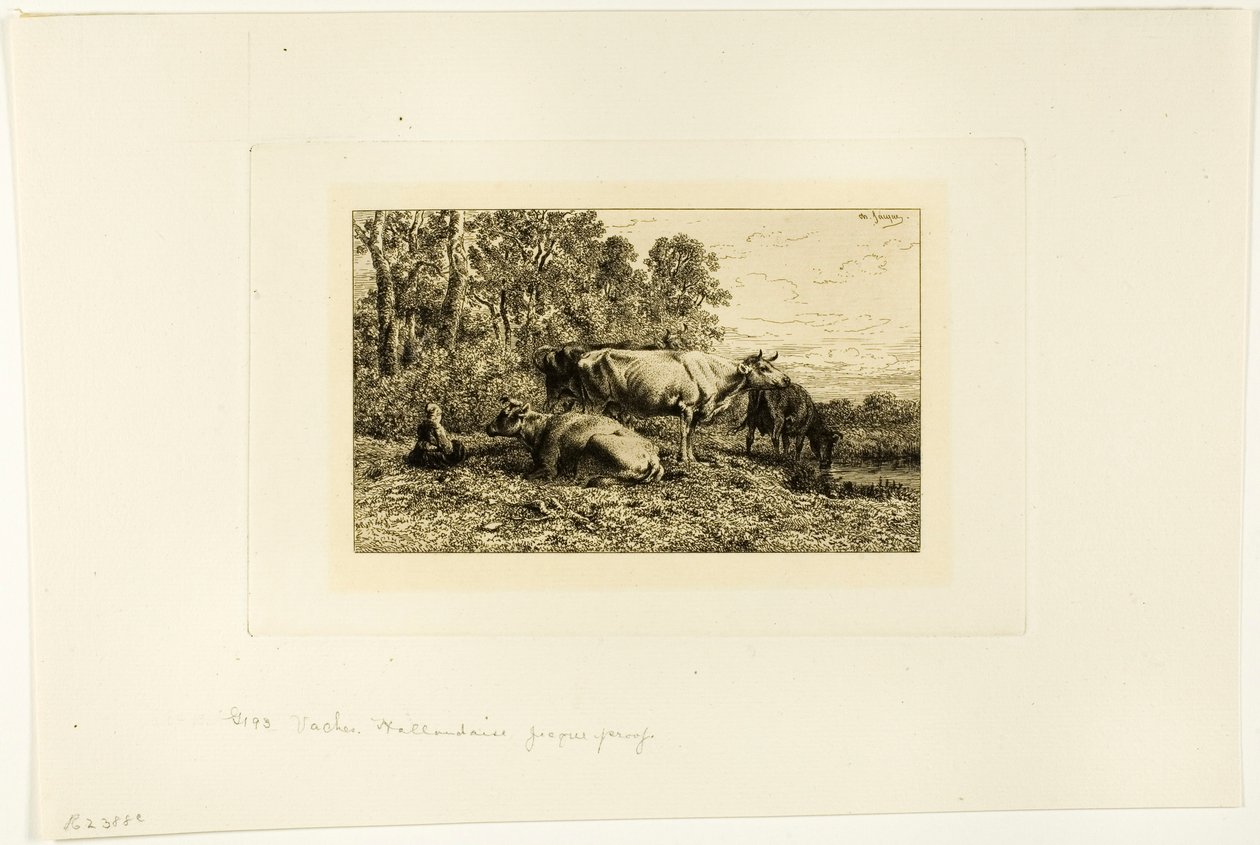 Vaches hollandaises - Charles Emile Jacque