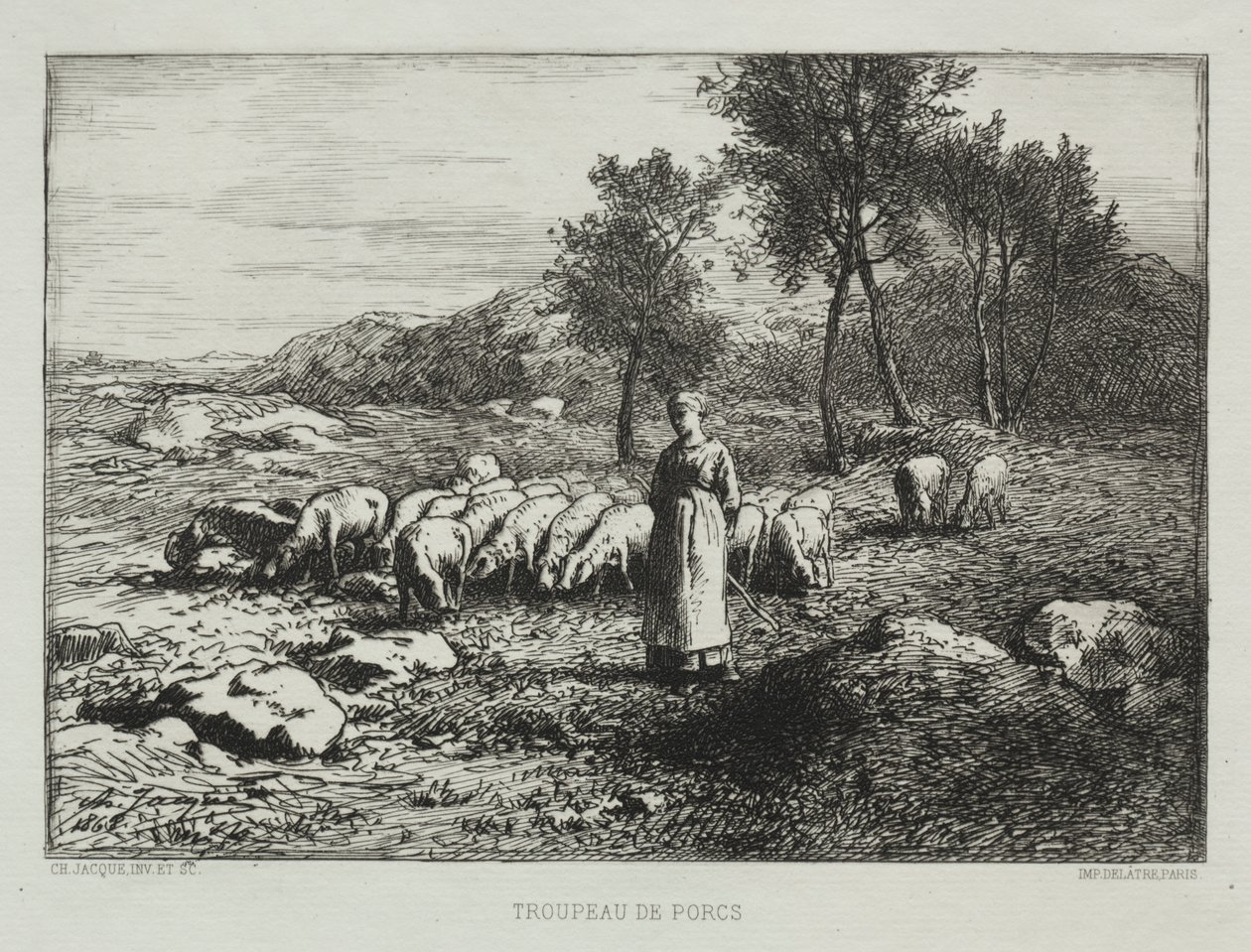 Troupeau de Cochons - Charles Emile Jacque