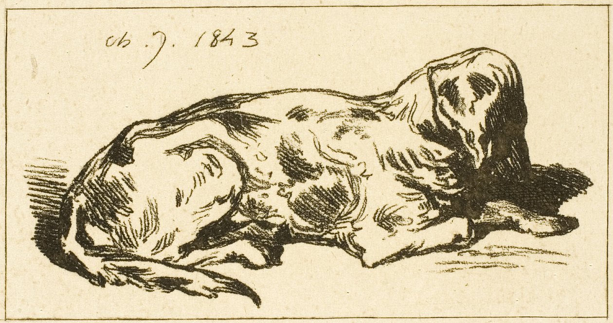 Chien couché - Charles Emile Jacque
