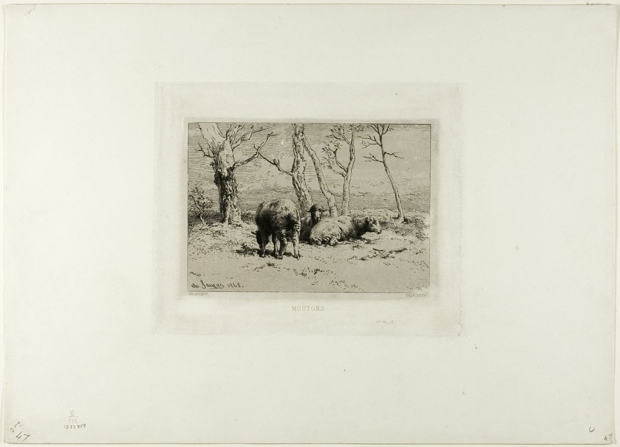 Moutons - Charles Emile Jacque