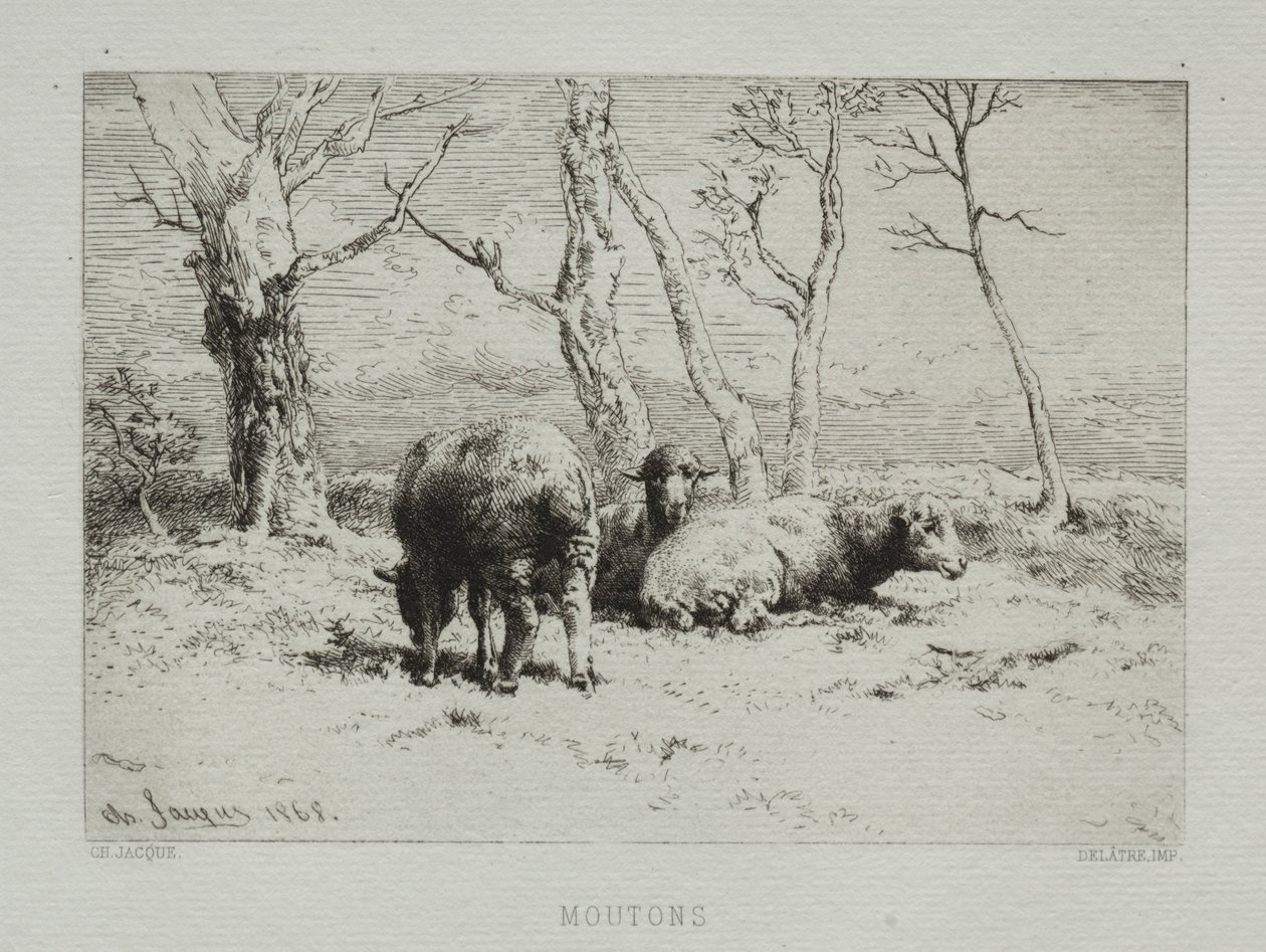 Moutons, 1868 - Charles Emile Jacque