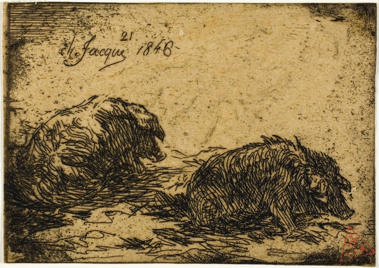 Deux cochons couchés - Charles Emile Jacque