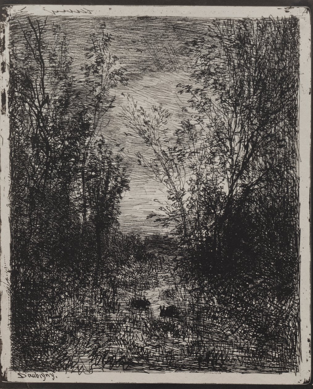 Un ruisseau dans une clairière - Charles Francois Daubigny