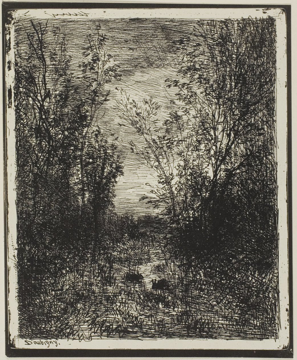 Ruisseau dans la clairière - Charles Francois Daubigny