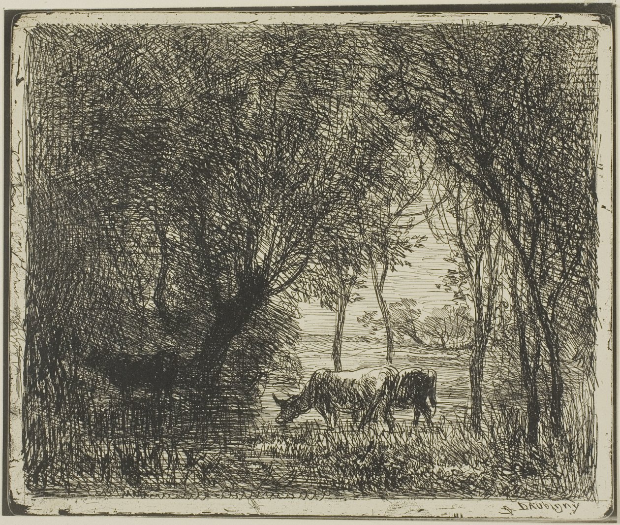 Vaches dans un bois - Charles Francois Daubigny
