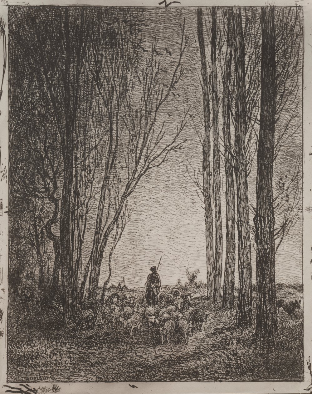 Rassemblement du troupeau - Charles Francois Daubigny