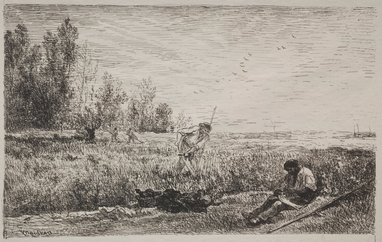 Fenaison - Charles Francois Daubigny