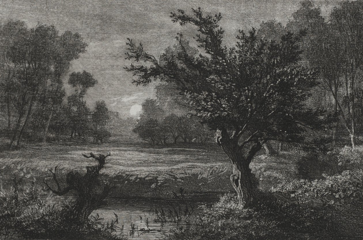 Lever de lune dans la vallée d