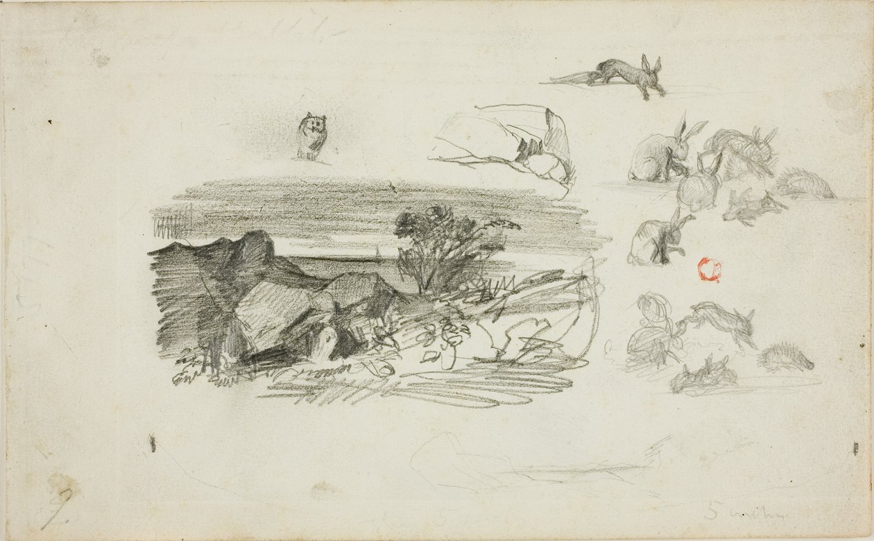 Croquis : Cadre rocheux et lapins - Charles Francois Daubigny