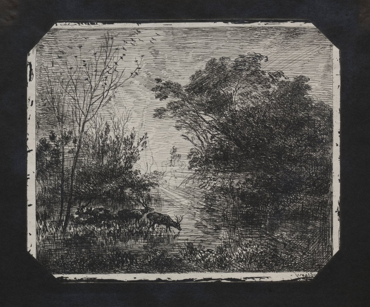Le Cerf, 1862 - Charles Francois Daubigny