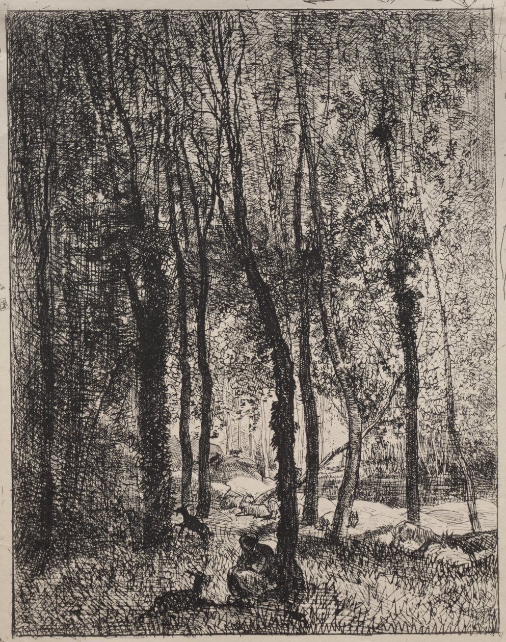 La fille du chevrier - Charles Francois Daubigny