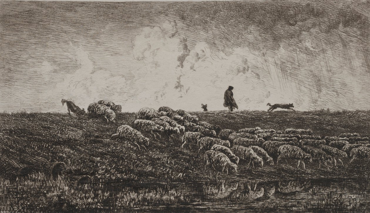 La Douche, vers 1851 - Charles Francois Daubigny