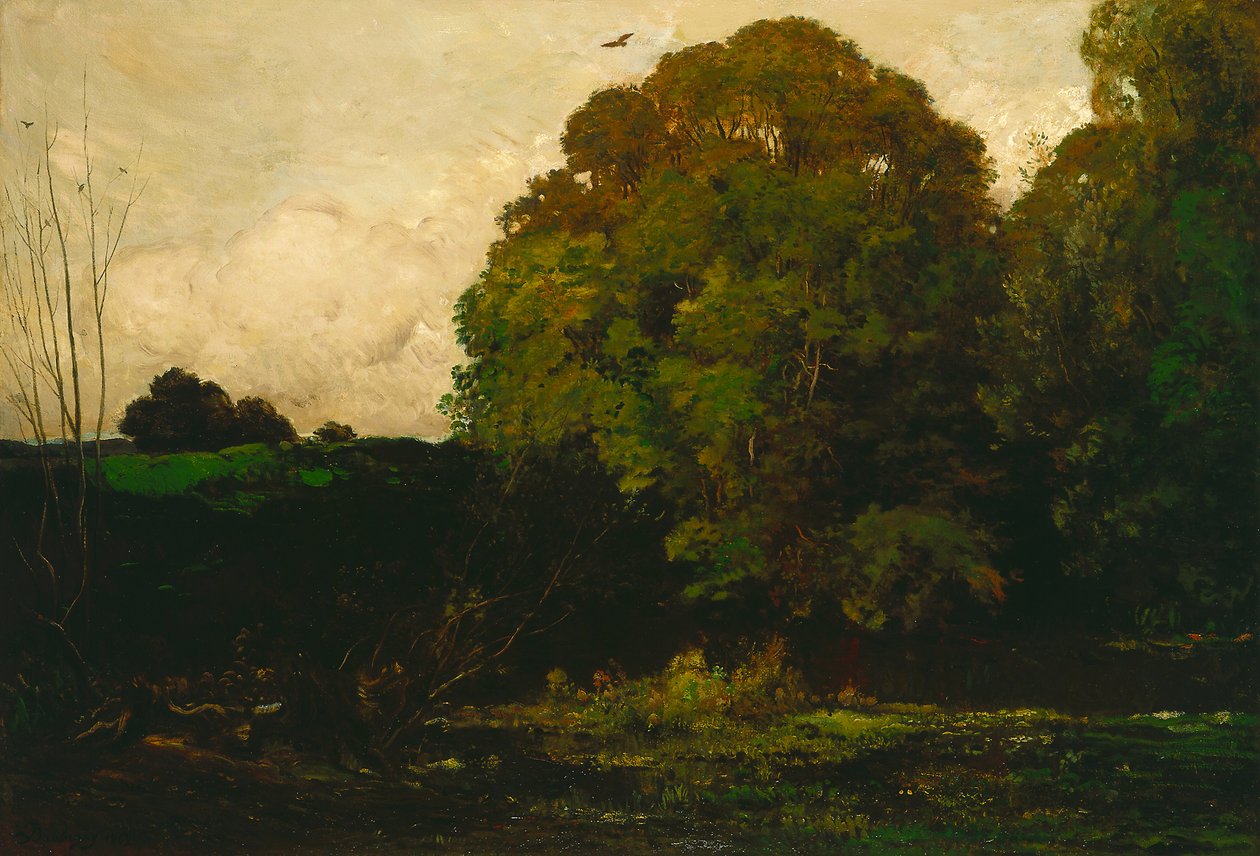 Un étang dans le Morvan - Charles Francois Daubigny