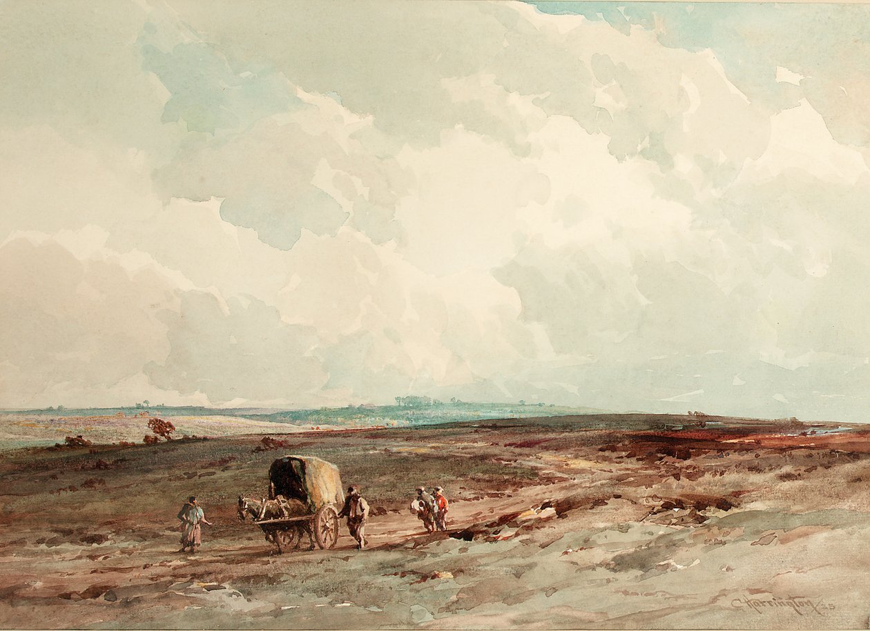 Sur la réserve forestière d
