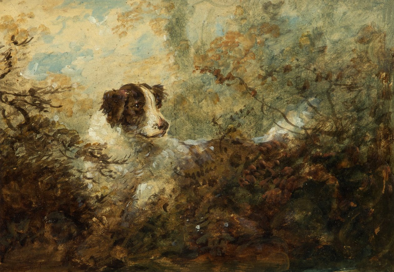 Chien - Charles Henry Schwanfelder
