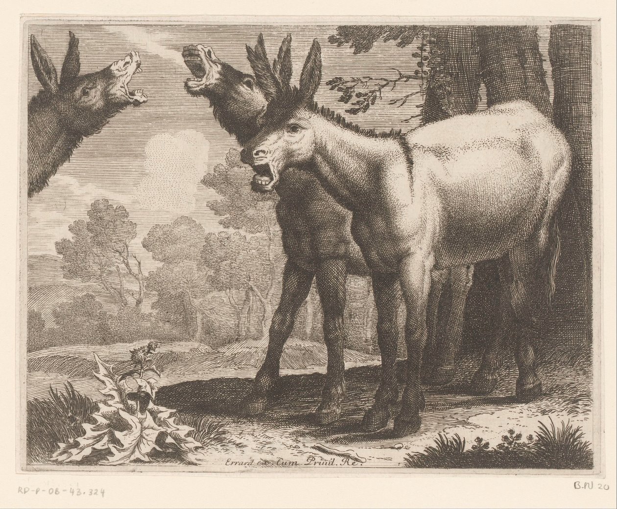 Ânes braillants, Dierenserie (titre de la série) - Charles II Errard (attributed to)