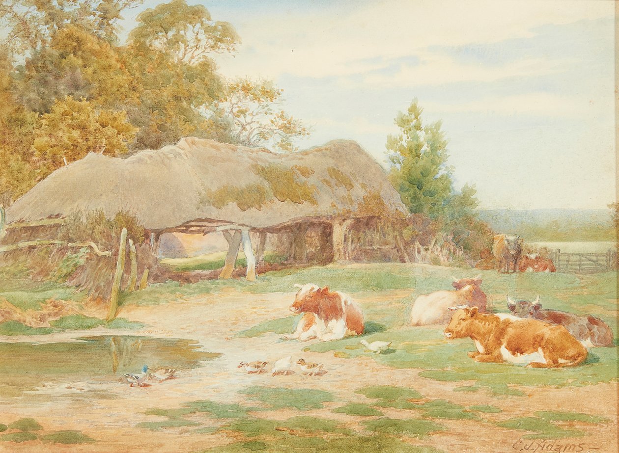 Bétail au repos - Charles James Adams