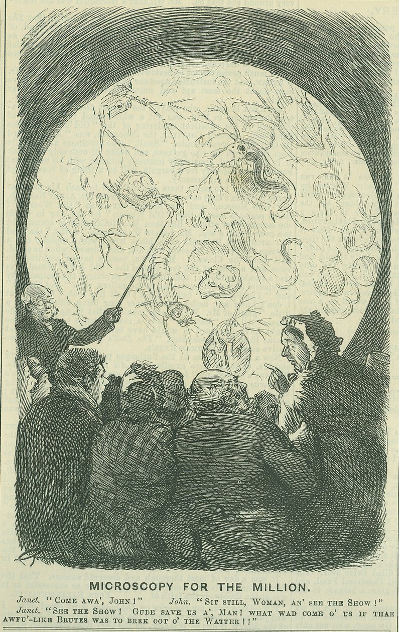 Microscopie pour les millions : 1878 (gravure) - Charles Keene
