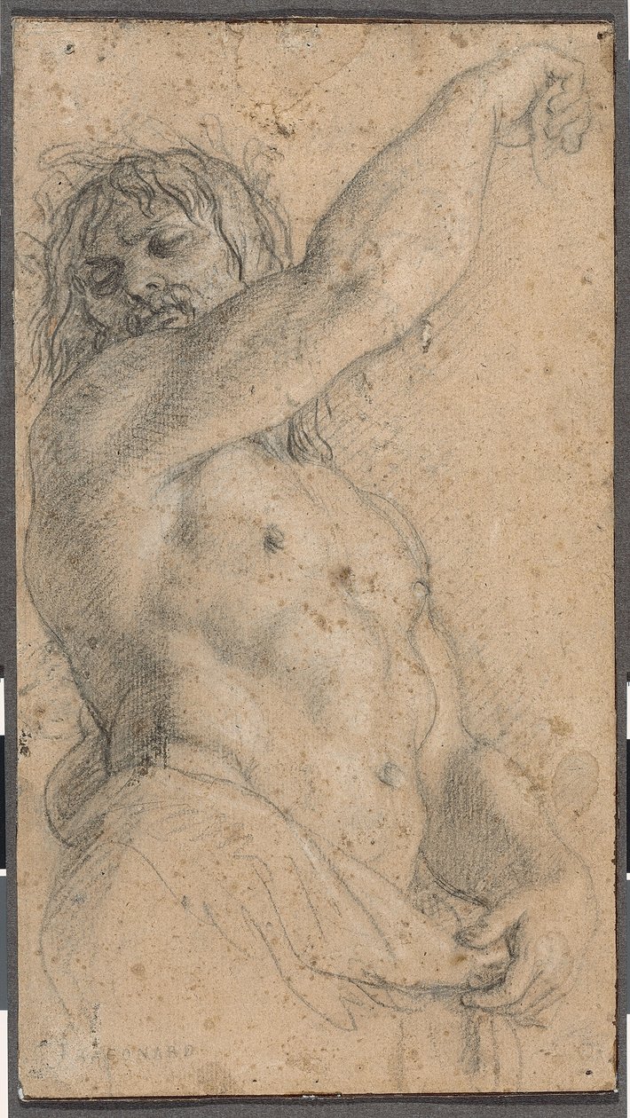 Étudier pour un Herm - Charles Le Brun