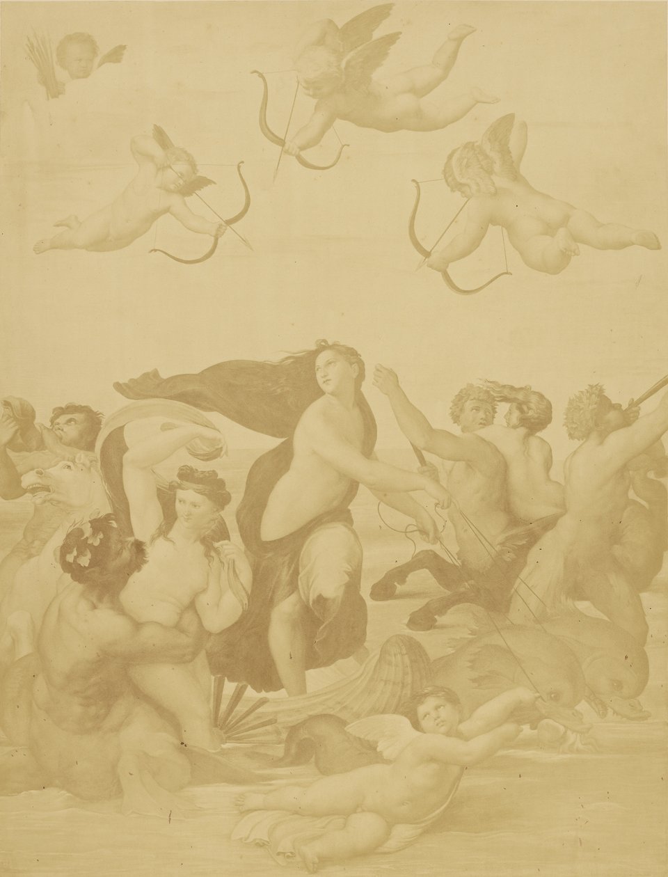 [Reproduction de Galatée par Raphaël] - Charles Marville