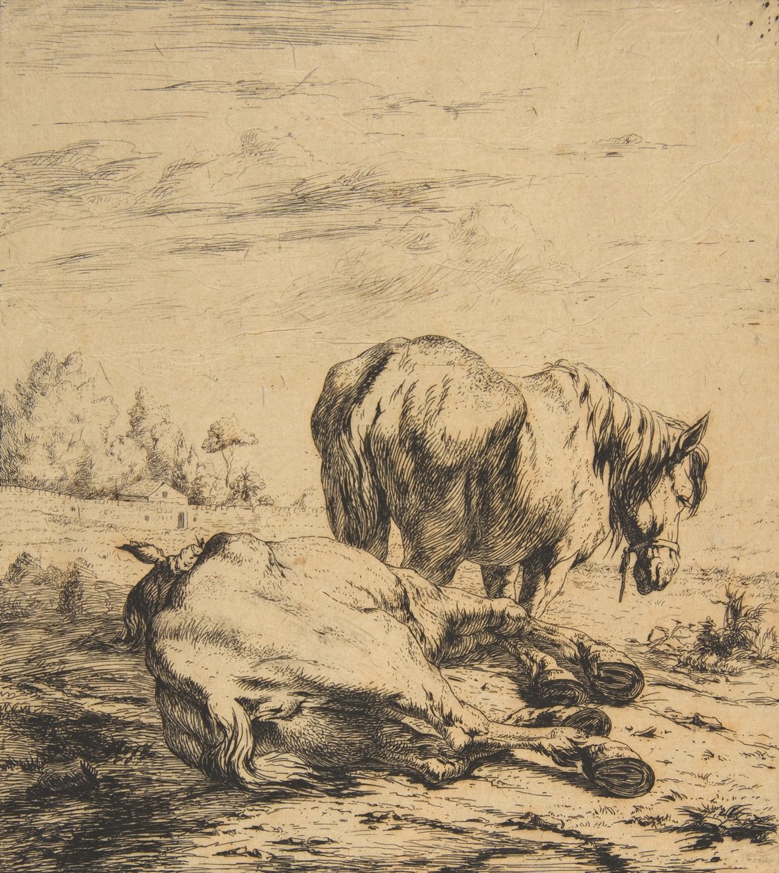 Deux chevaux - Charles Meryon
