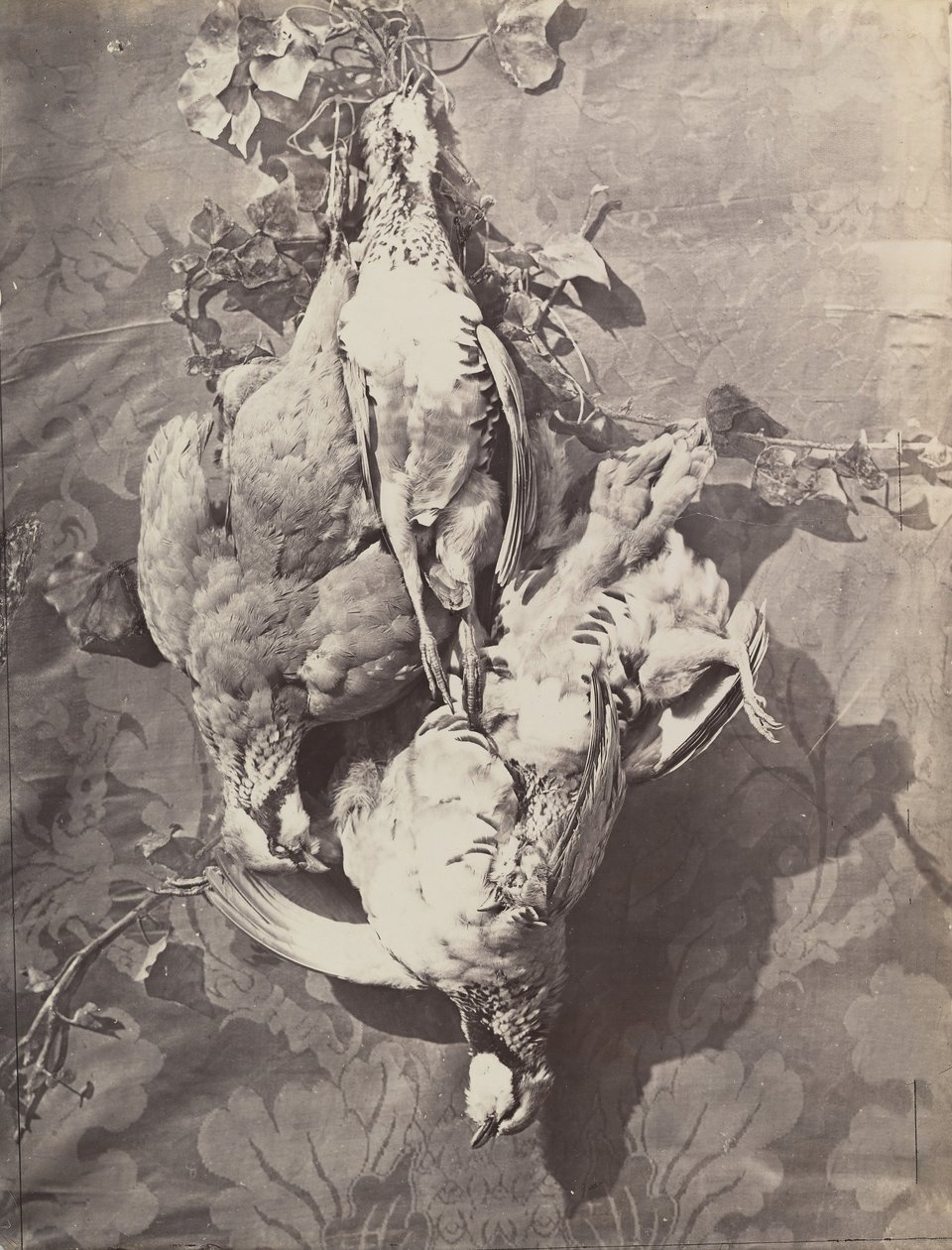 Nature Morte avec Gibier, 1859 - Charles Nègre