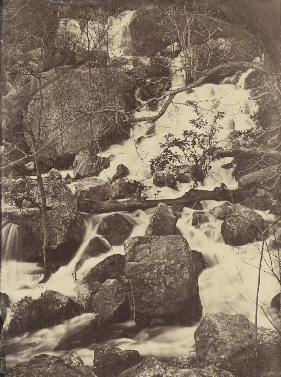 [Arbres et cascades], 1860-65 - Charles Nègre