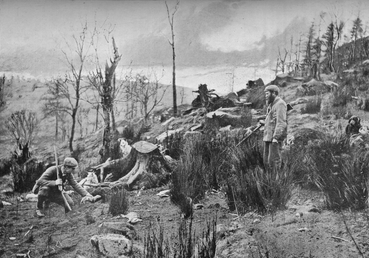 Mettre le furet, vers 1900 - Charles Reid