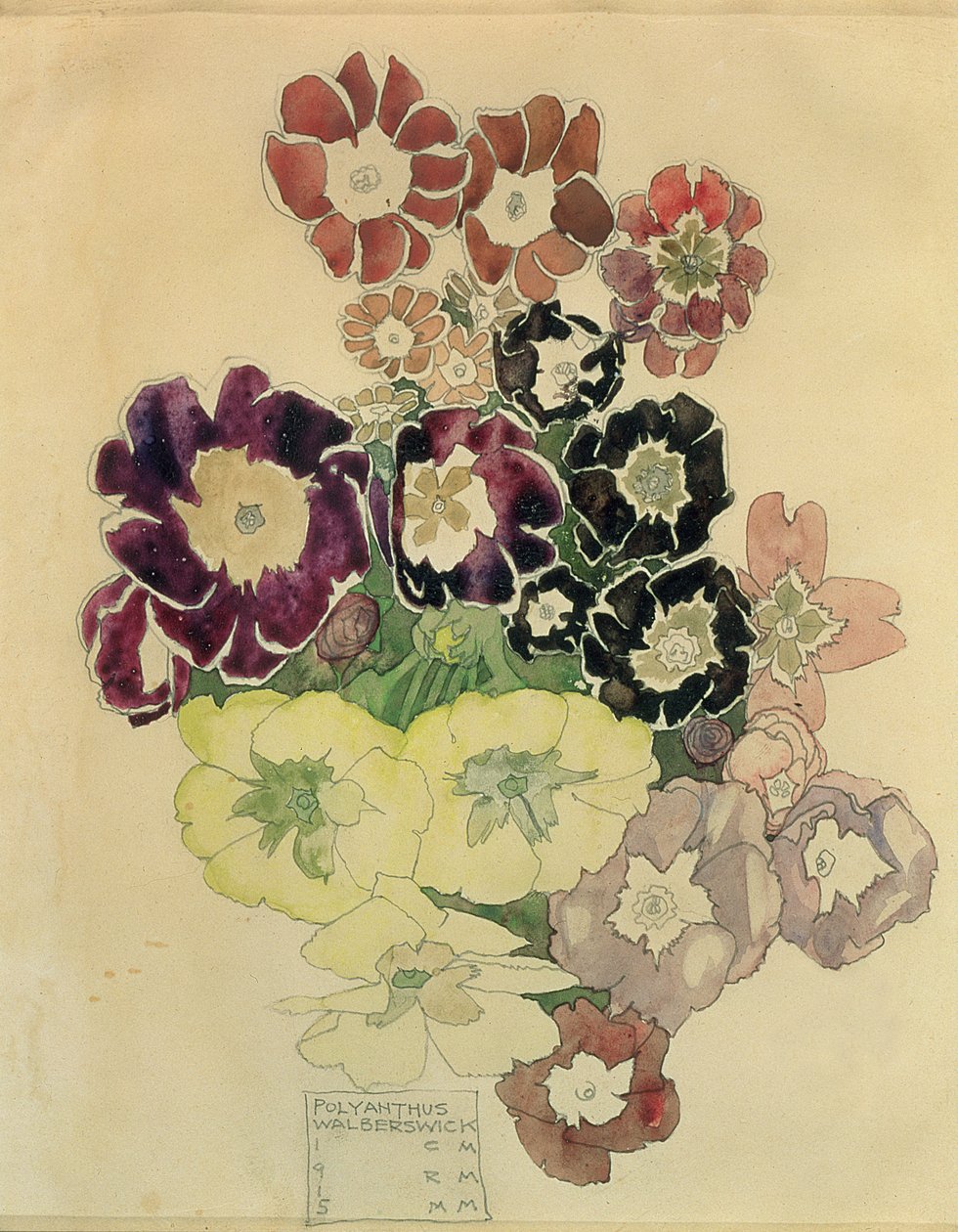 Polyanthus, Walberswick, 1915 - Charles Rennie Mackintosh
