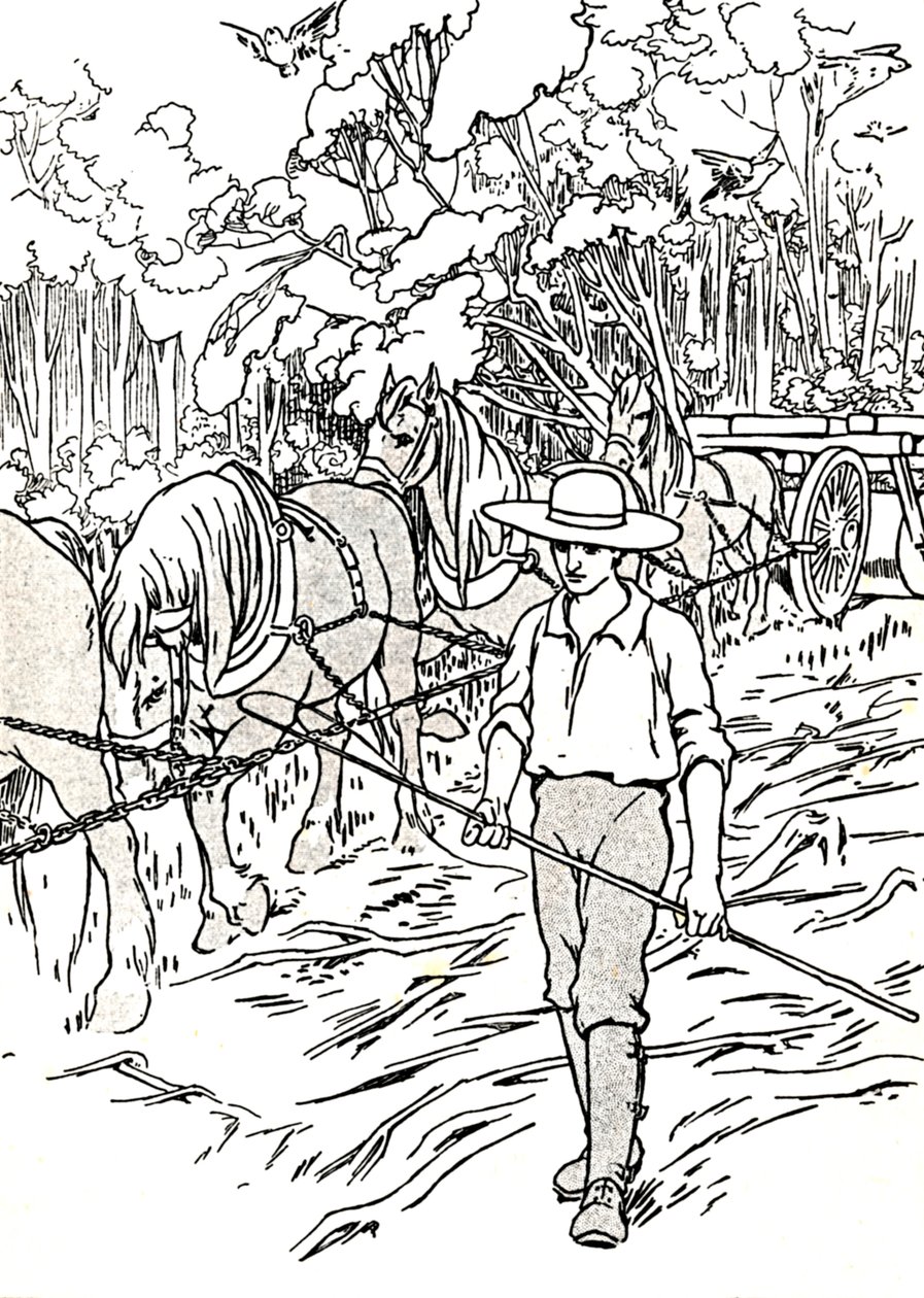 Un colon défrichant sa terre, 1912 - Charles Robinson