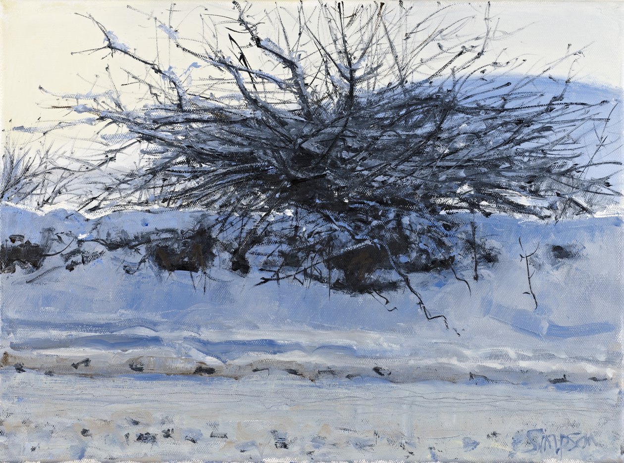 Aubépine, 2011 (huile sur toile) - Charles Simpson