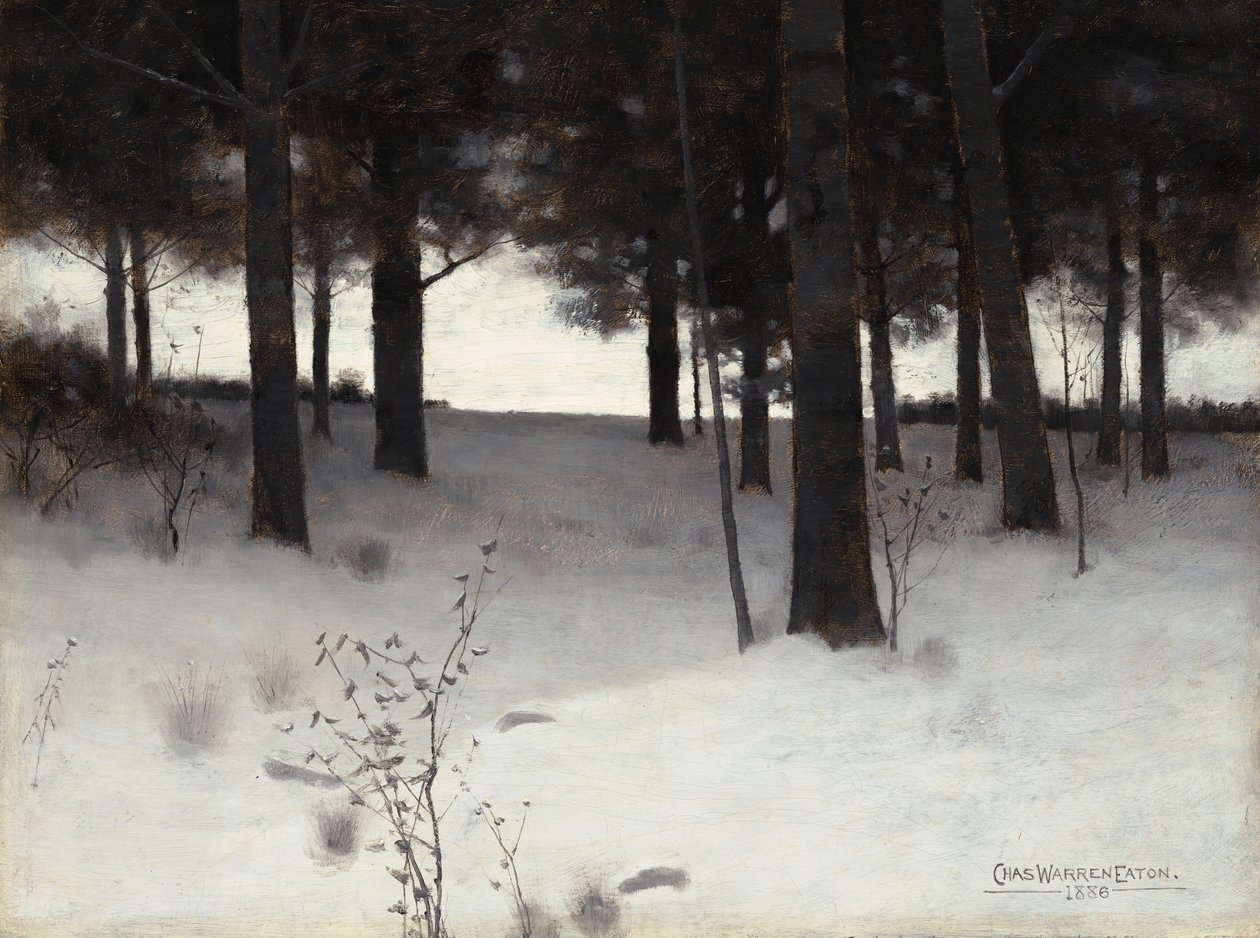 Bois en hiver, 1886 - Charles Warren Eaton