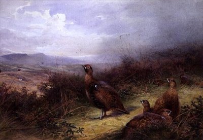 Grouse dans les Highlands - Charles Whymper