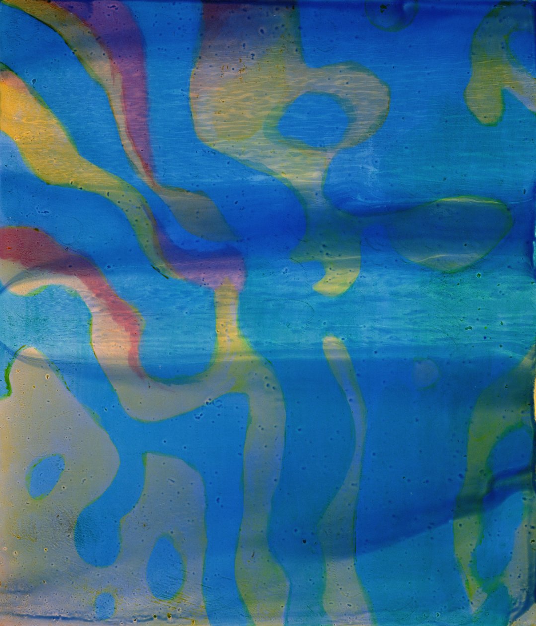 Indian Swarthy, 2000 - Charlotte Johnstone