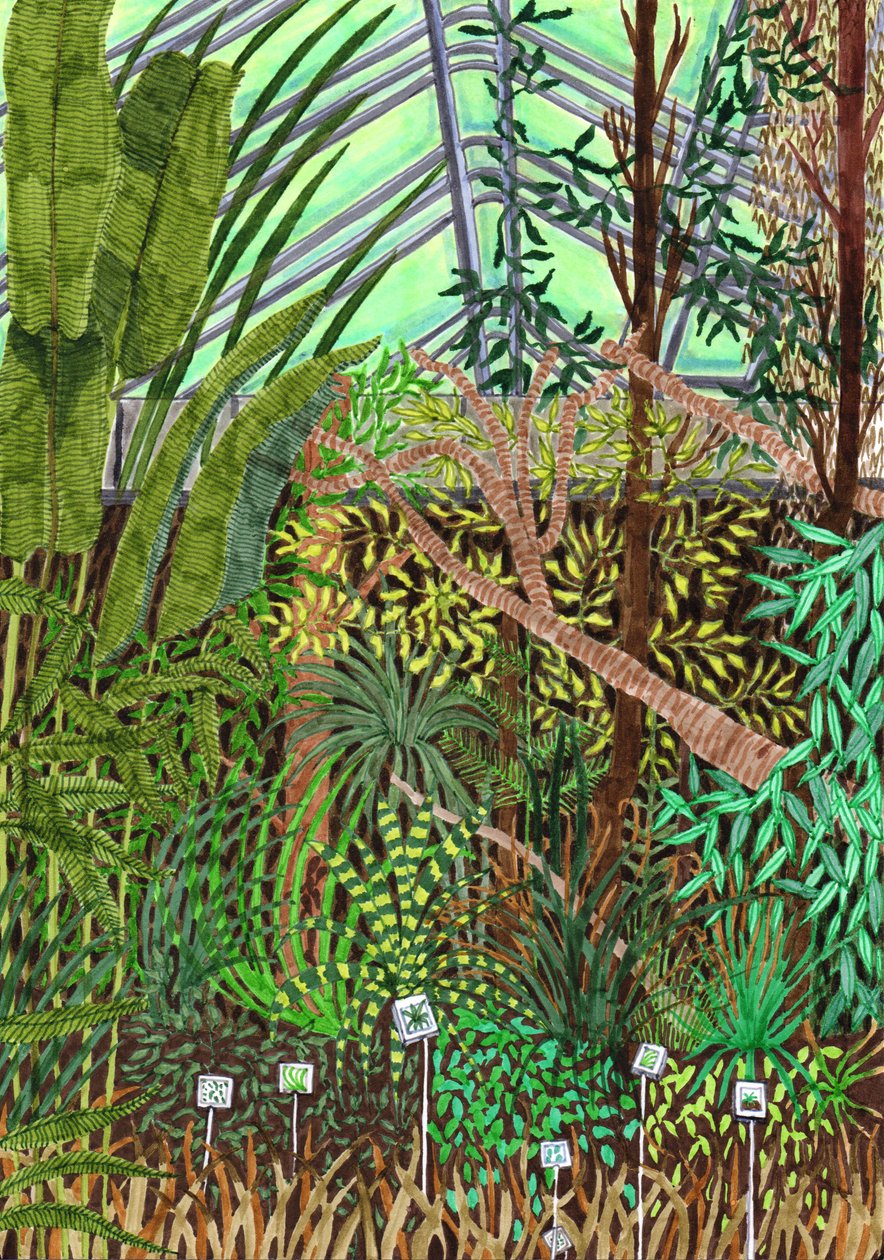Jardin botanique, 2017 - Charlotte Orr