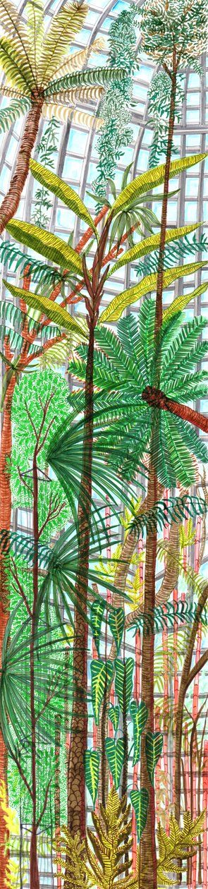 Jardin botanique, 2017 - Charlotte Orr