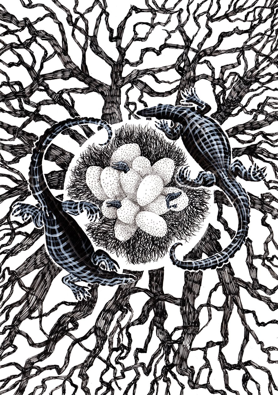Œufs de crocodile, 2020 - Charlotte Orr