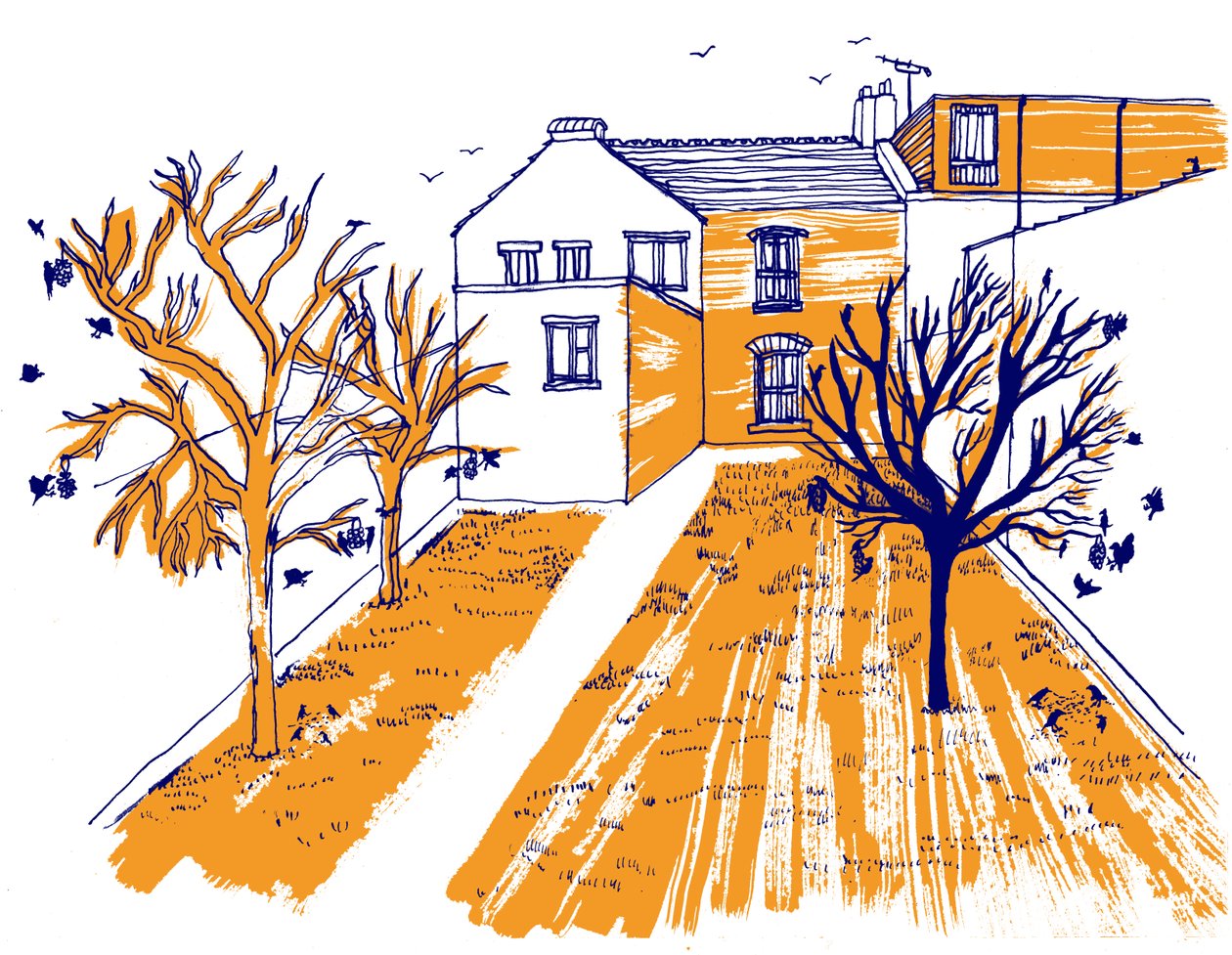 Jardin - Charlotte Orr