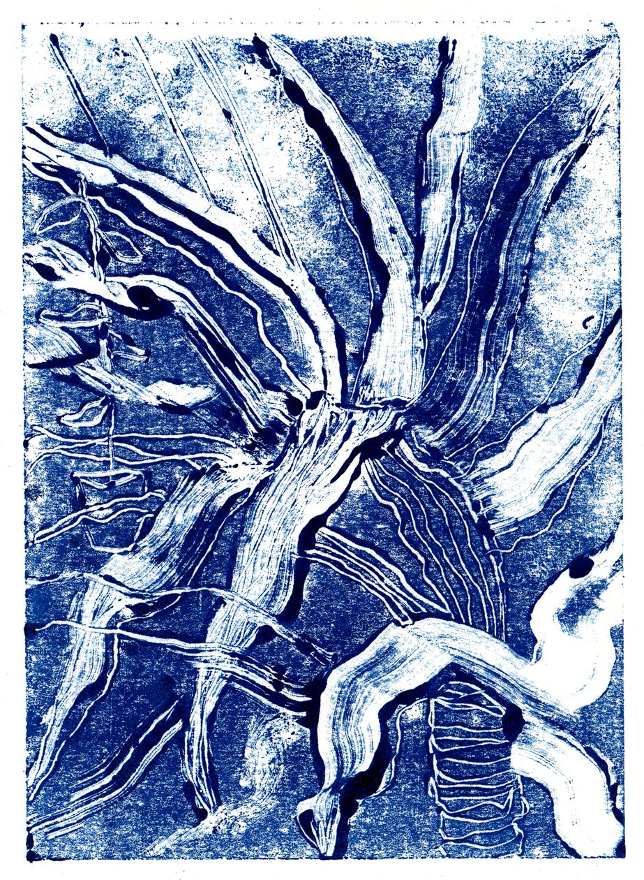 Plantes Encrées no.2 - Charlotte Orr