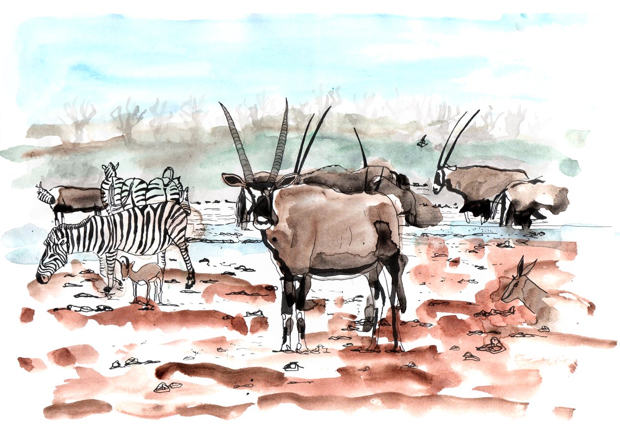 Safari, 2018 - Charlotte Orr