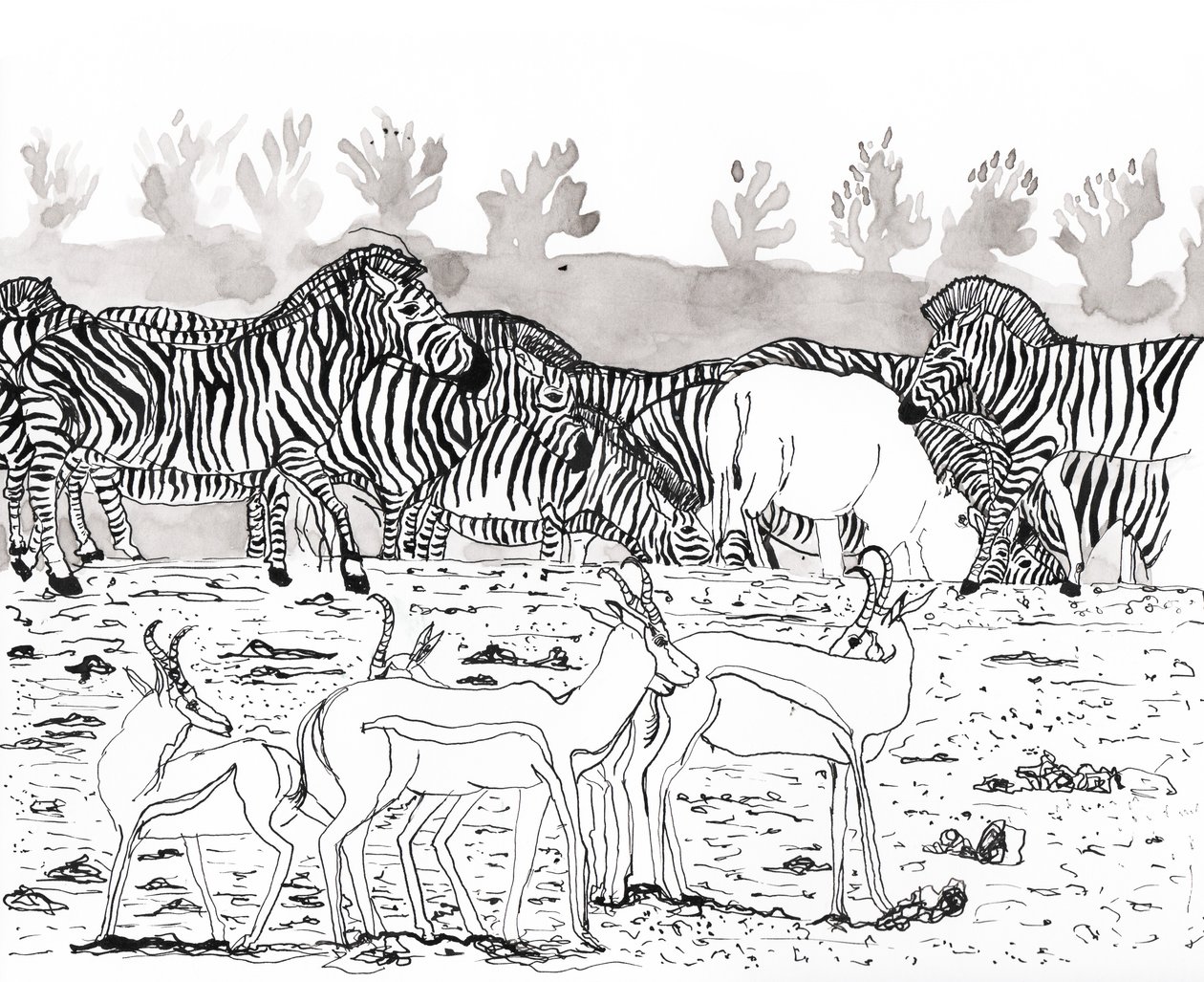 Safari 3, 2018 - Charlotte Orr
