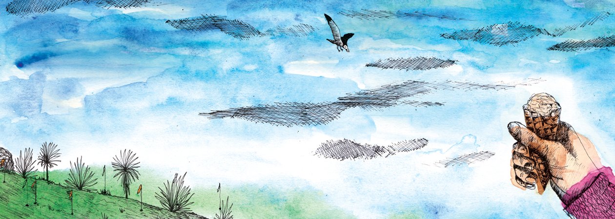 Le conte de la mouette, 2020 - Charlotte Orr