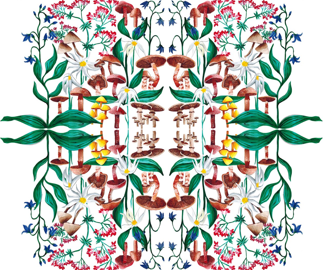 Plantes Sauvages - Charlotte Orr