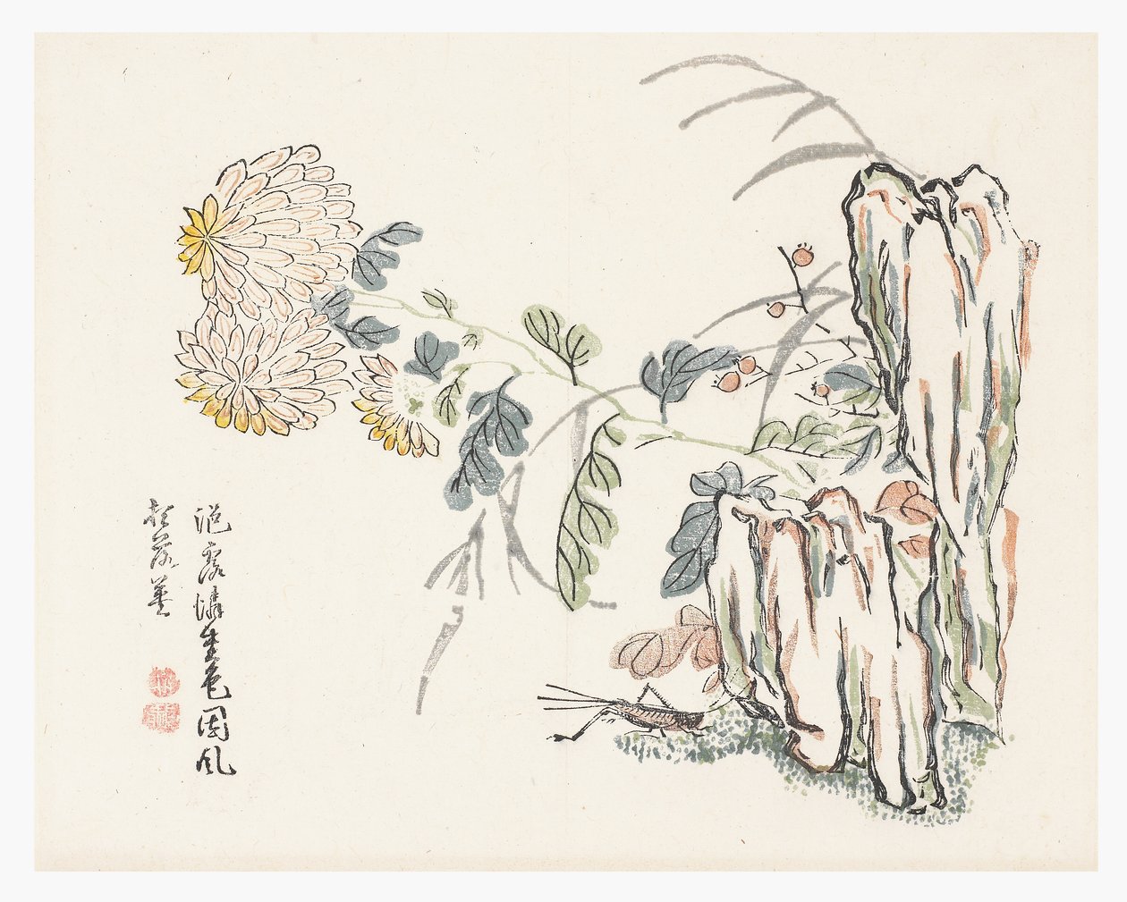 Chrysanthème, Le Jardin des graines de moutarde - Cheng An (after)