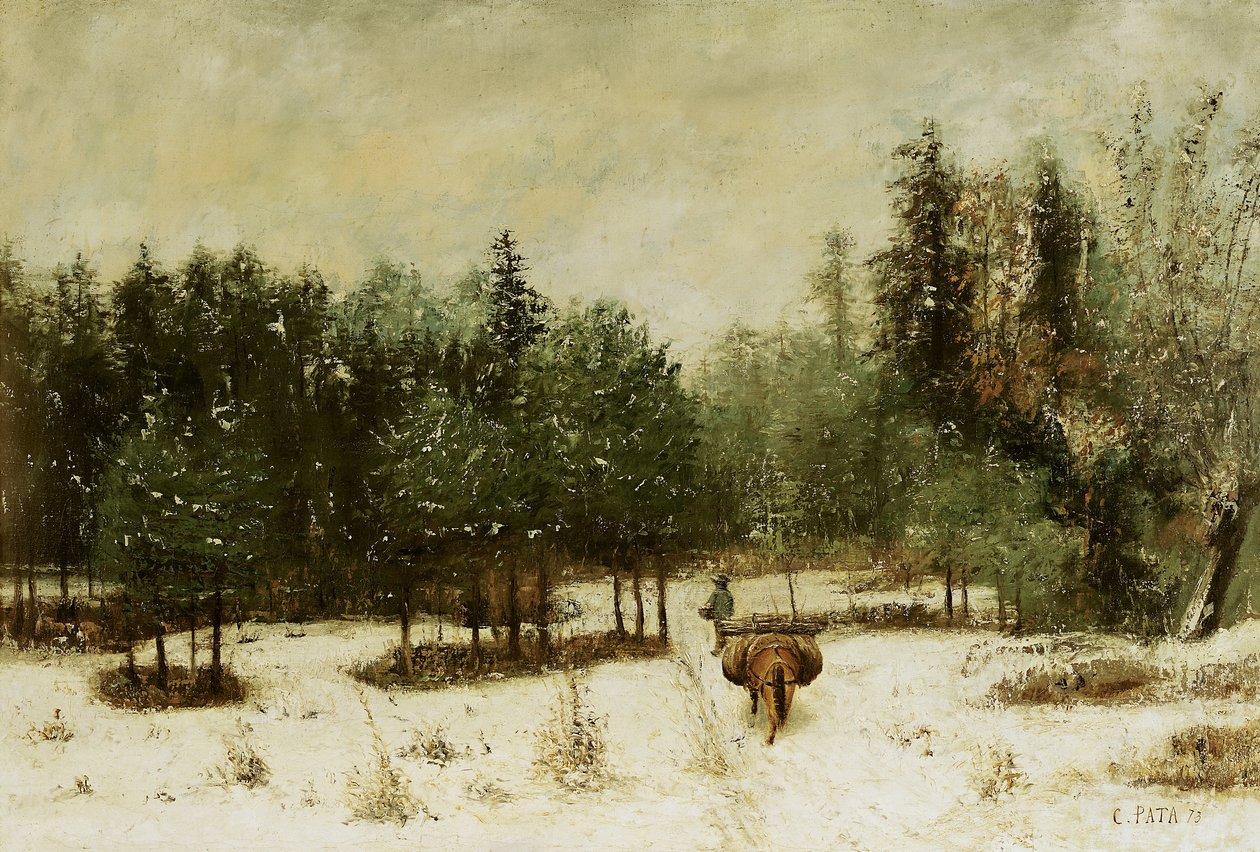 Entrée de la forêt en hiver. Effet de neige, 1873 - Cherubino Pata
