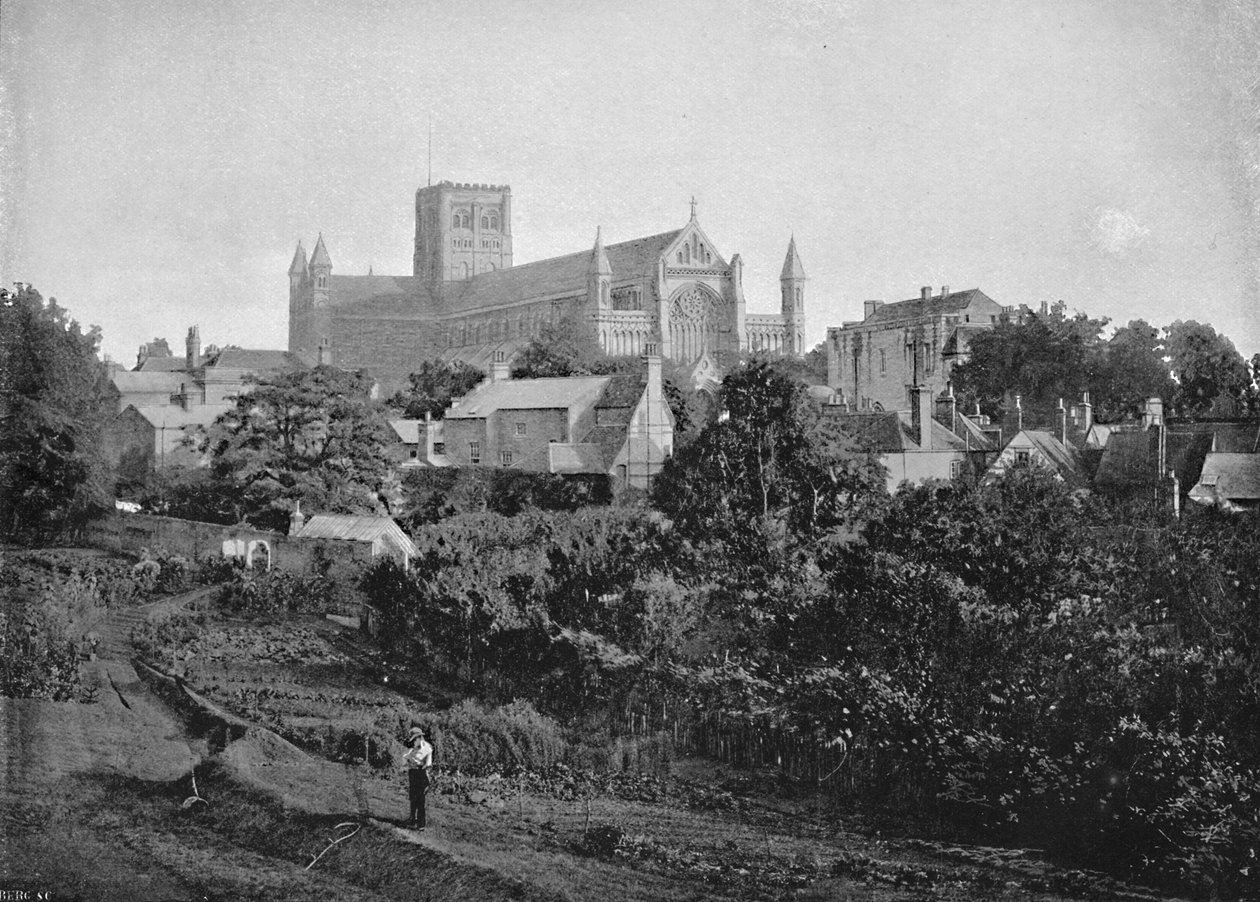Cathédrale de St. Albans - Chester Vaughan