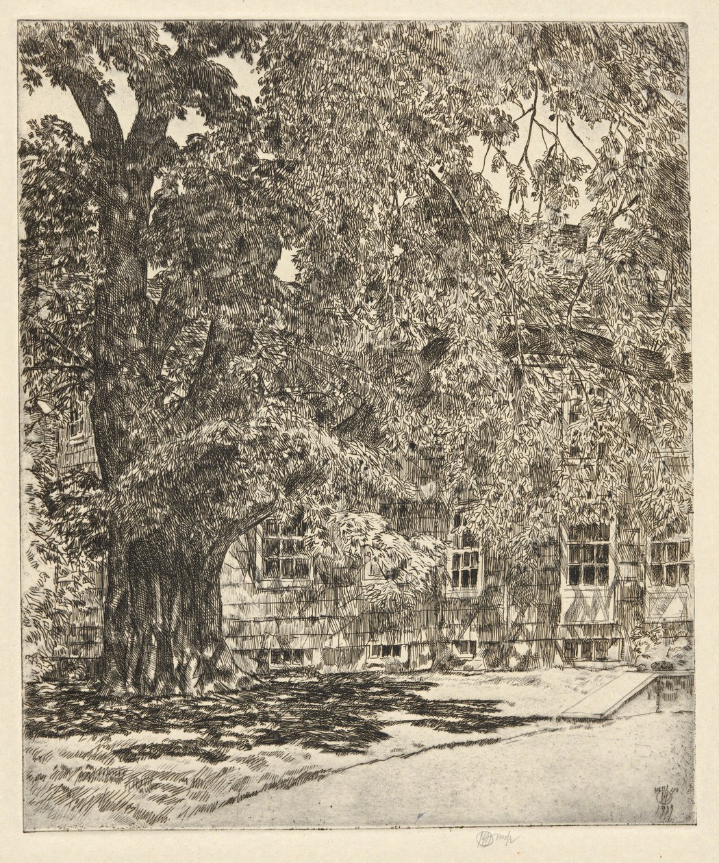 Orme géant, 1929 - Childe Hassam